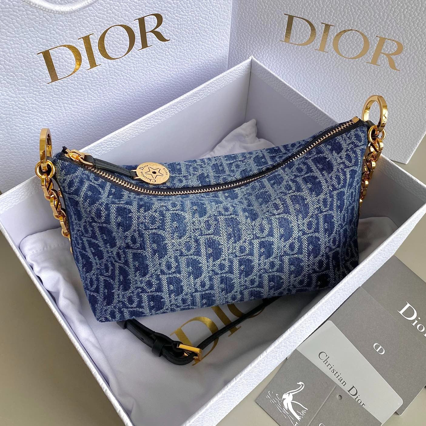 Dior Hobo Bag